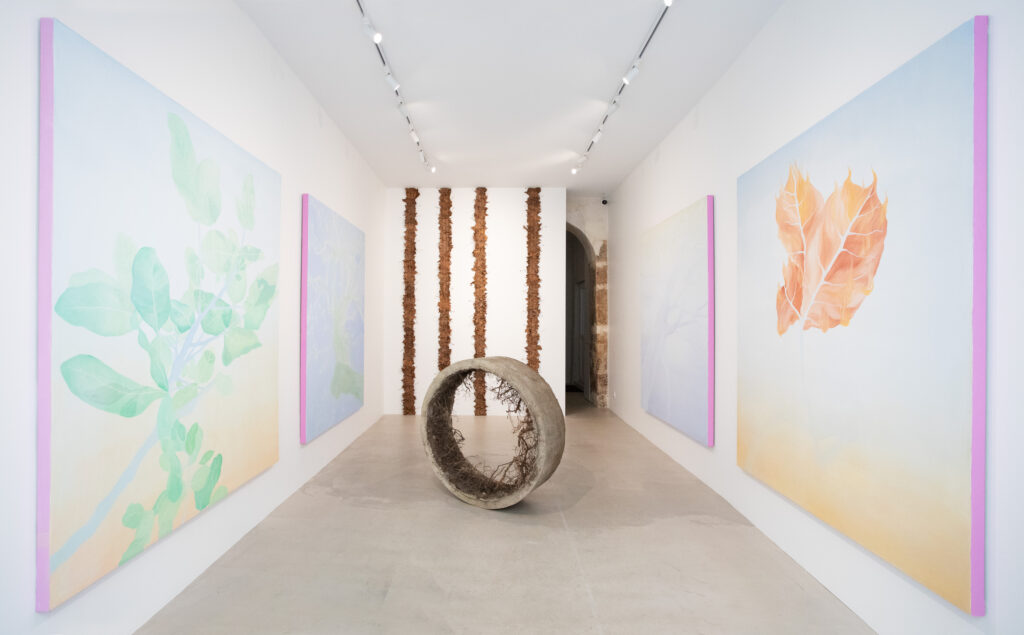 Kate Araoz, Les quatre saisons