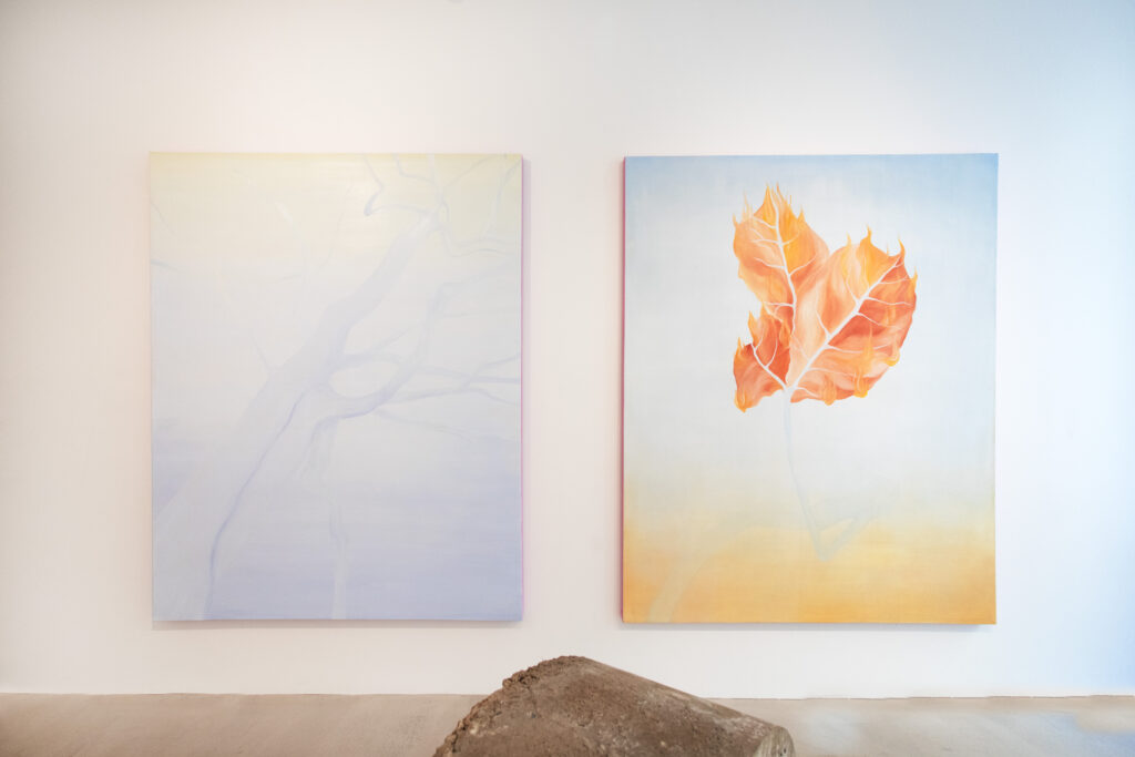 Kate Araoz, Les quatre saisons