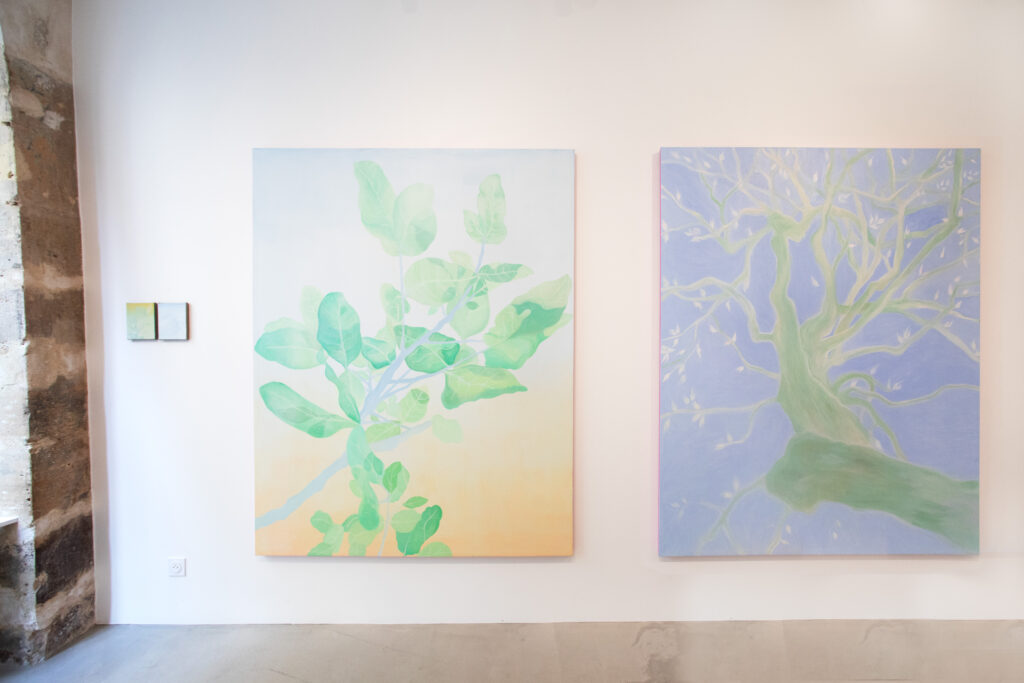 Kate Araoz, Les quatre saisons